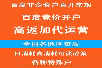 百度竞价个人账户开户技巧：成功案例分享与解析