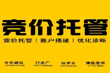 搜索引擎营销（SEM）竞价中的创意策略案例